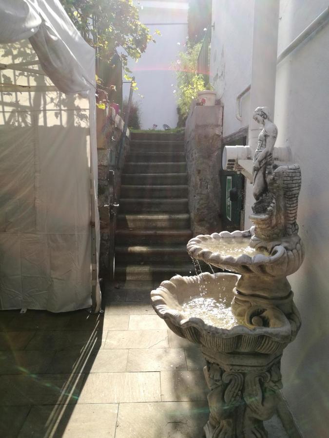Gaestezimmer & Apartment Mayrhofer وایدهوفن آن در یبس المظهر الخارجي الصورة